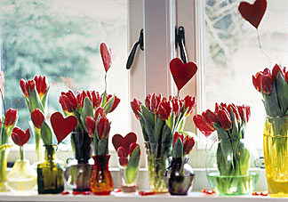 Tulips in big and small vases add a bit of Valentine whimsy in a cool window. Photo courtesy Netherlands Flower Bulbs Information Center Tulips in big and small vases add a bit of Valentine whimsy in a cool window. Photo courtesy Netherlands Flower Bulbs Information Center