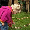 Plant bulbs now for a decorative lawn in spring 