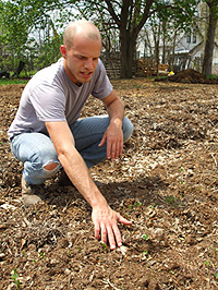 Urban Farm Breaking ground — Matthew Jose examinestiny seedlings of peas growing on an urban farm at 516 N. Tacoma Ave.,a vacant lot on Indianapolis east side. © Photo Jo Ellen Meyers Sharp